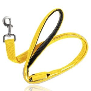 llumiseen LED Dog Leash - USB Rechargeable